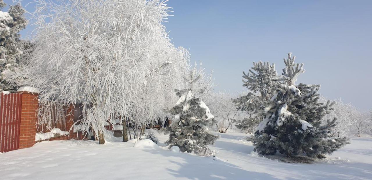 Białowolskie Wzgórze Zamość Exterior foto
